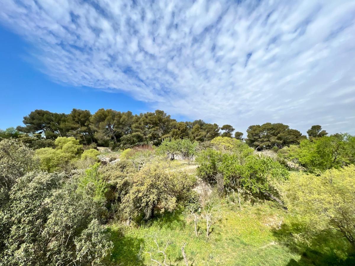 Tutto Mio Lägenhet Villeneuve-lès-Avignon Exteriör bild